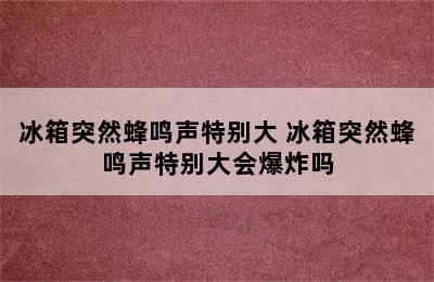 冰箱突然蜂鸣声特别大 冰箱突然蜂鸣声特别大会爆炸吗